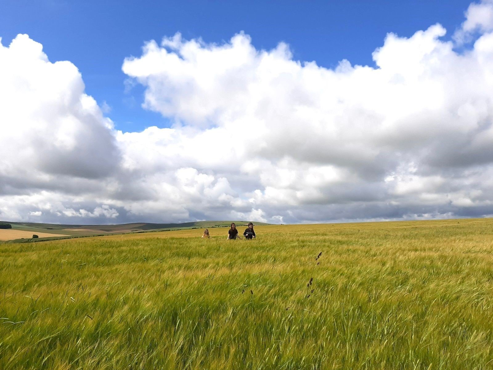 Photo of Kate Huggins and her friends walking in a field.