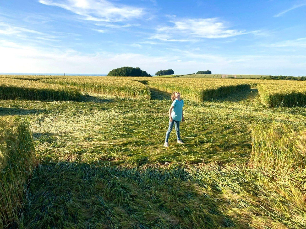 Photo of Kate Huggins looking up the sky in the middle of a farm field.