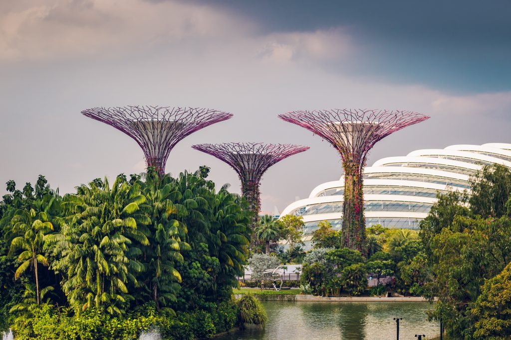 image of cityscape in Singapore for Leathwaite Singapore Office