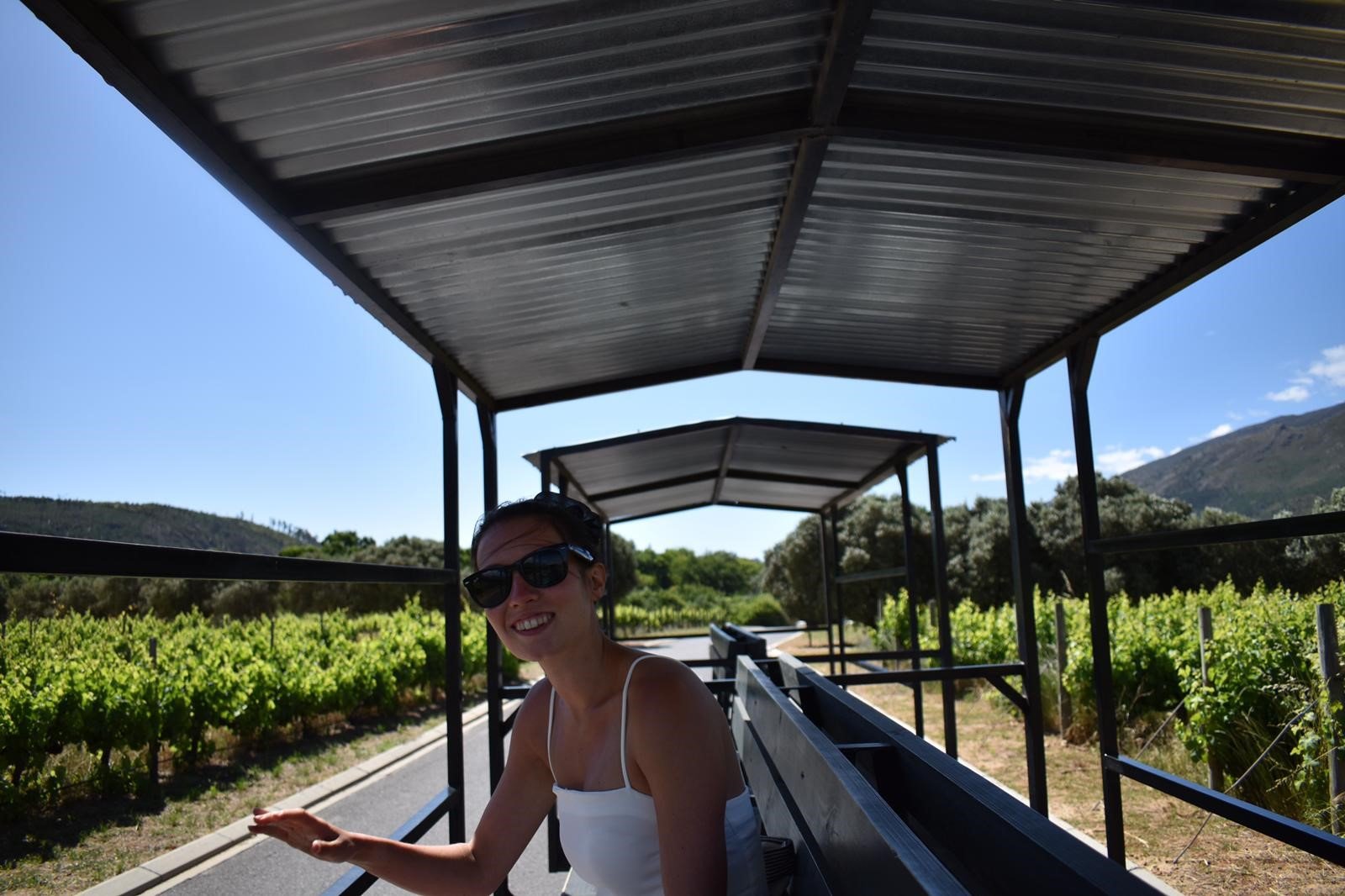 Photo of Rosie Gibson on a trip to a vineyard.