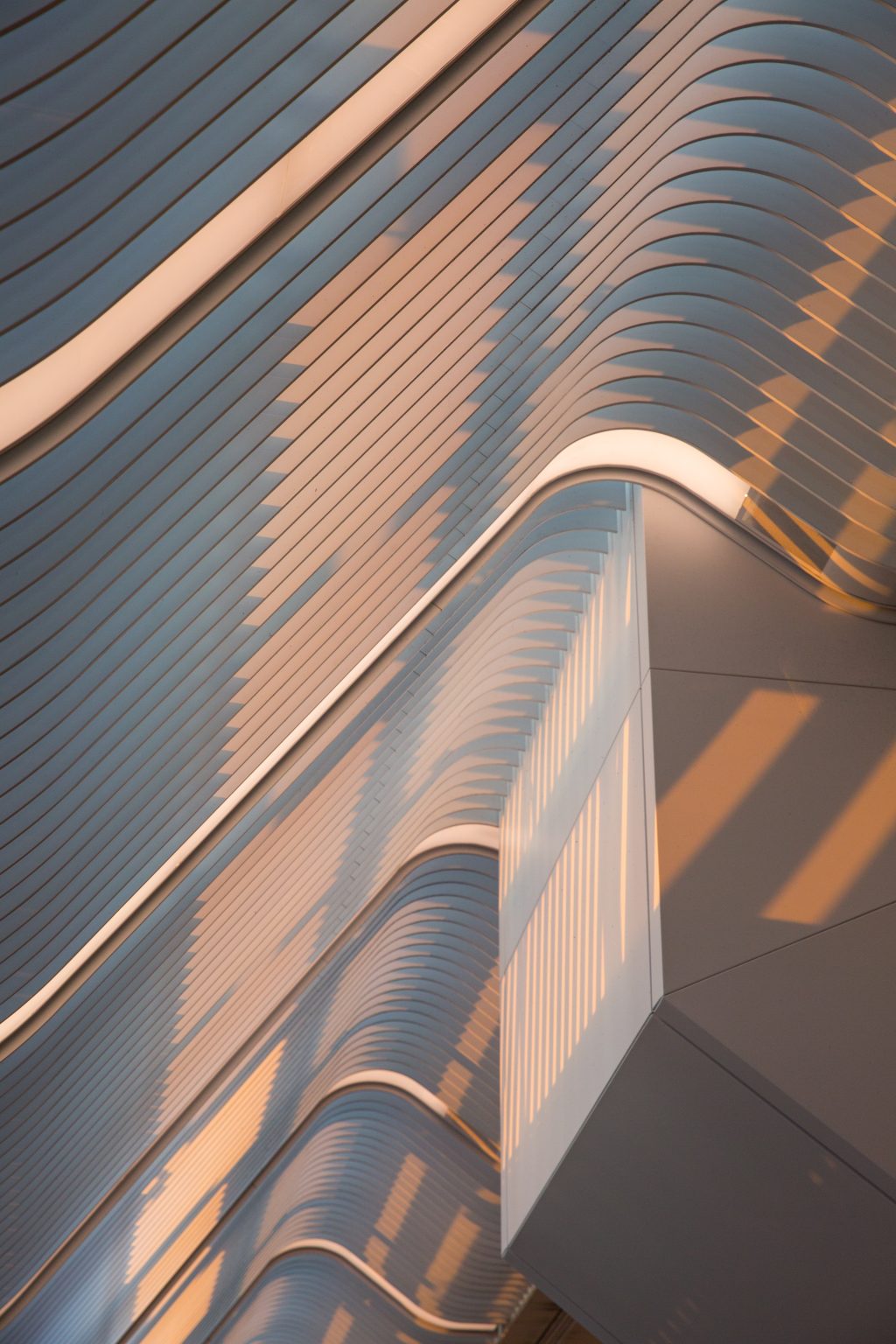 close up of modern architecture in golden hour